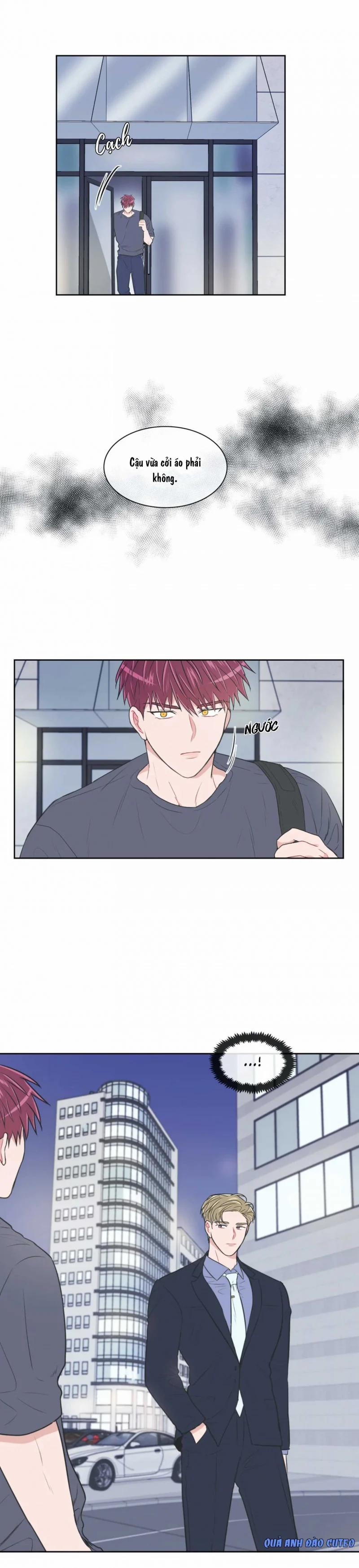 Anti P.t 50 trang 17