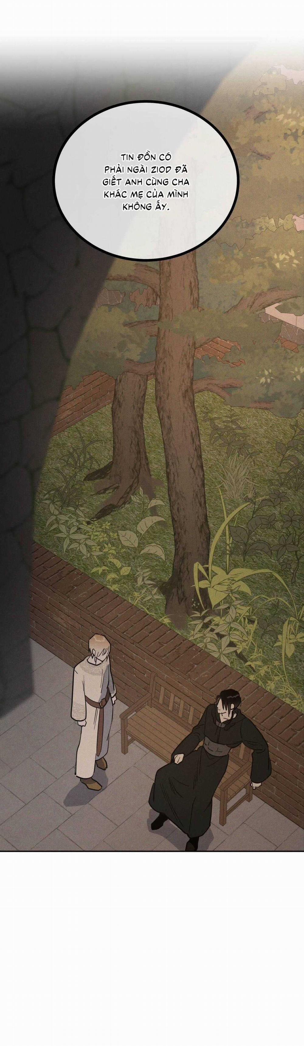 Antidote 45 trang 19