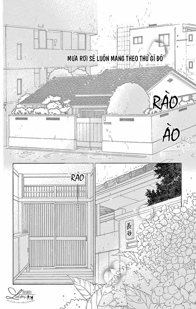 Ảo Ảnh Tình Yêu 12 trang 3