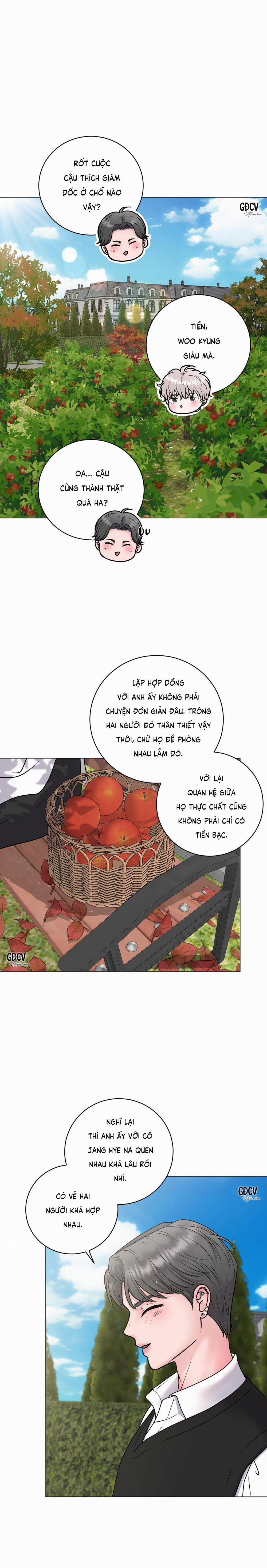 Ảo Ảnh 11 trang 19