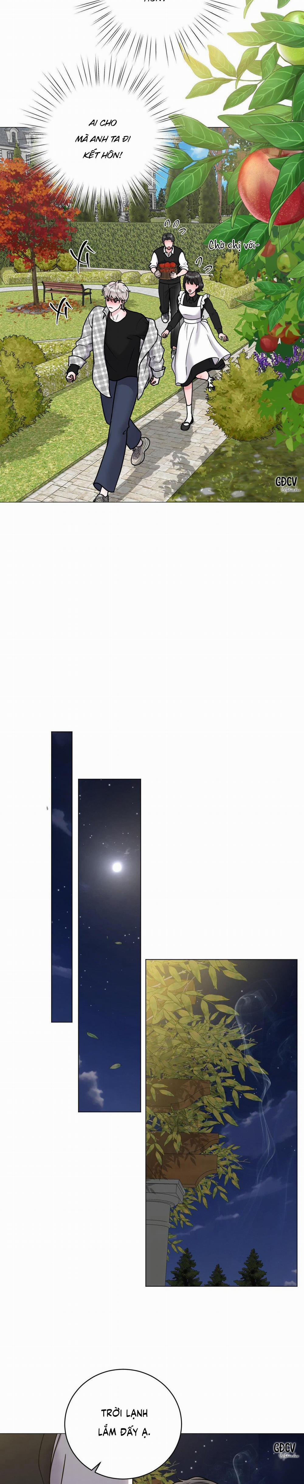 Ảo Ảnh 11 trang 21