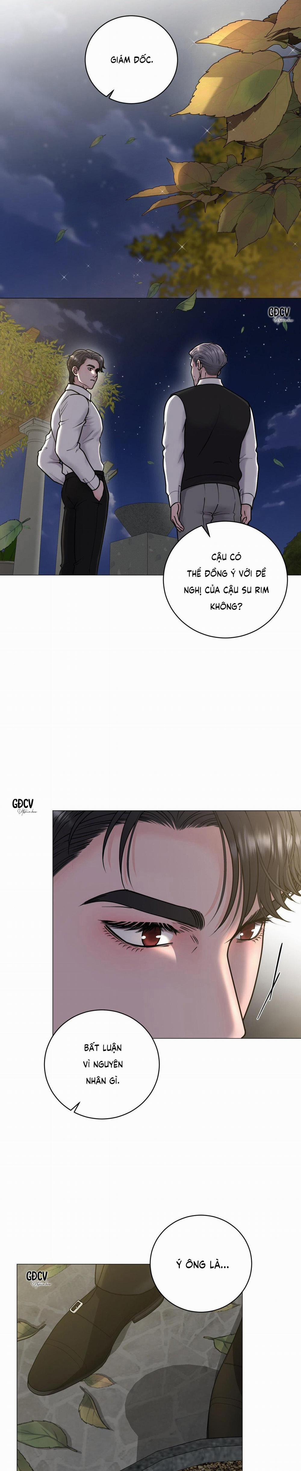 Ảo Ảnh 11 trang 26