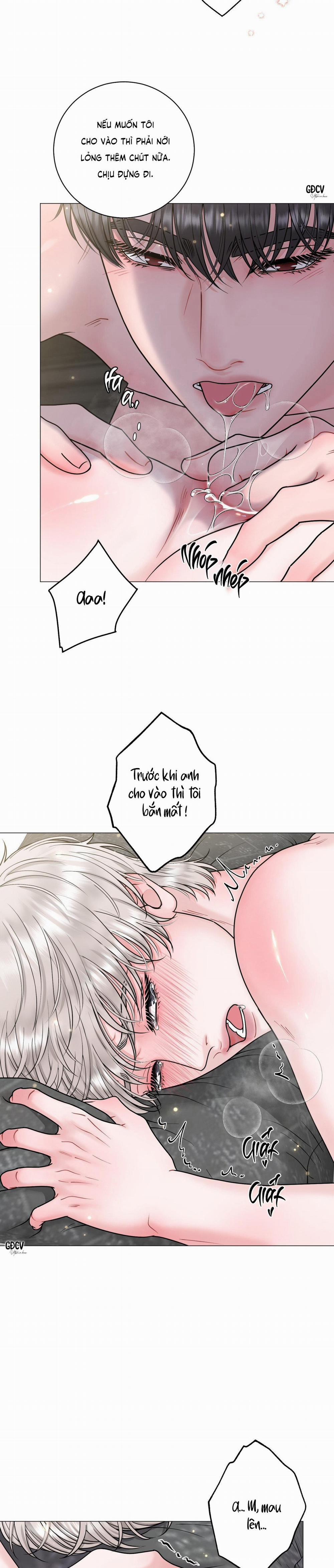 Ảo Ảnh 12 trang 29