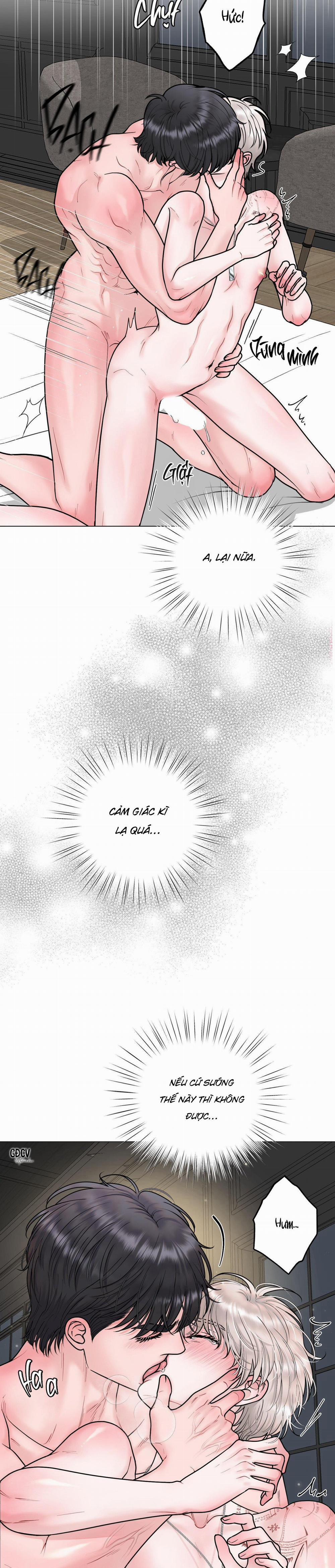 Ảo Ảnh 13 trang 11