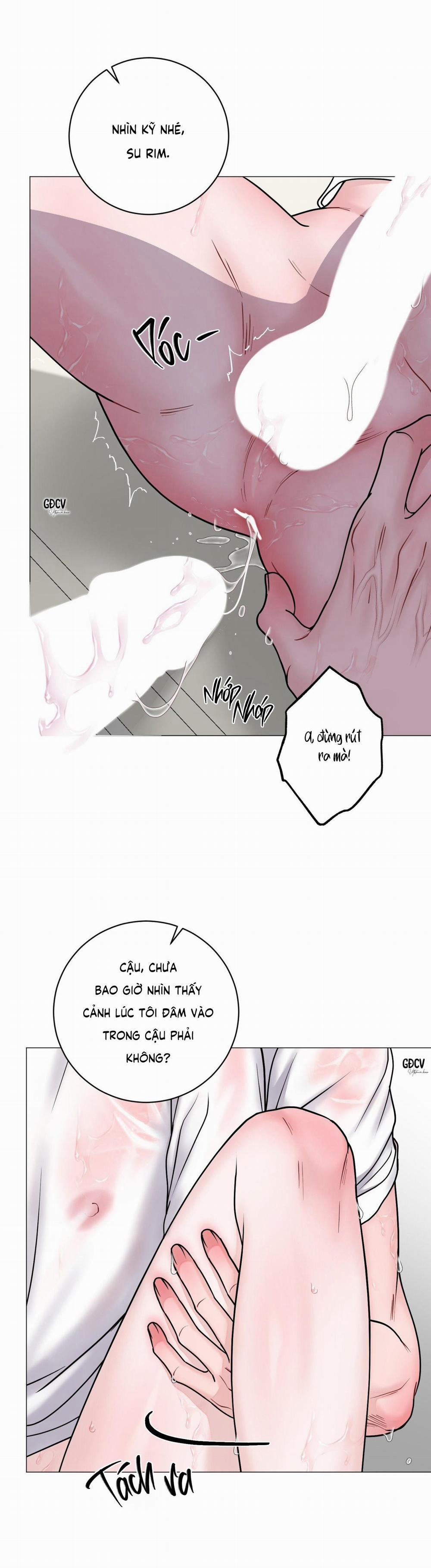 Ảo Ảnh 16 trang 3