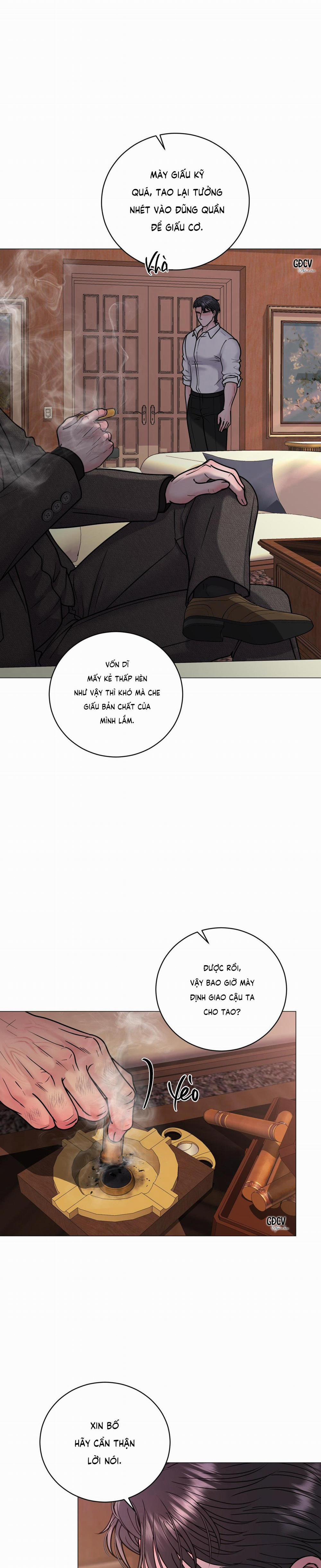 Ảo Ảnh 8 trang 1