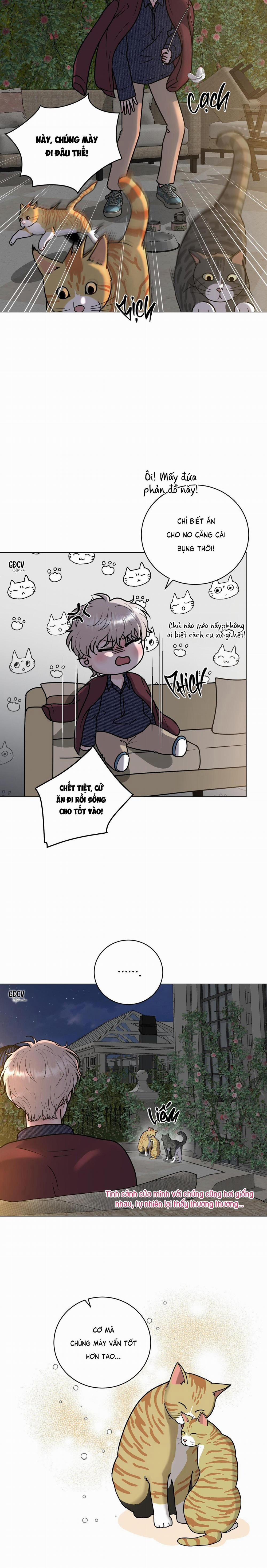 Ảo Ảnh 8 trang 14