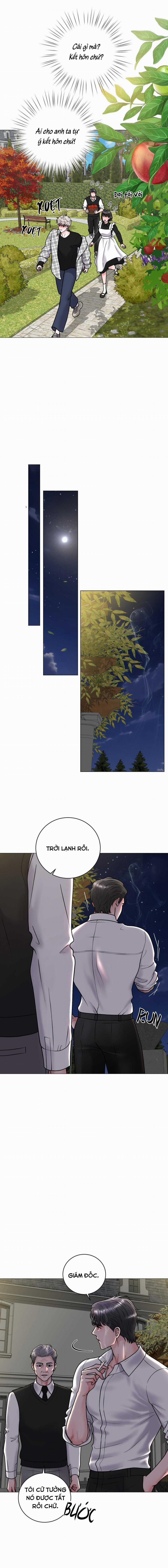 Ảo Tưởng 11 trang 15