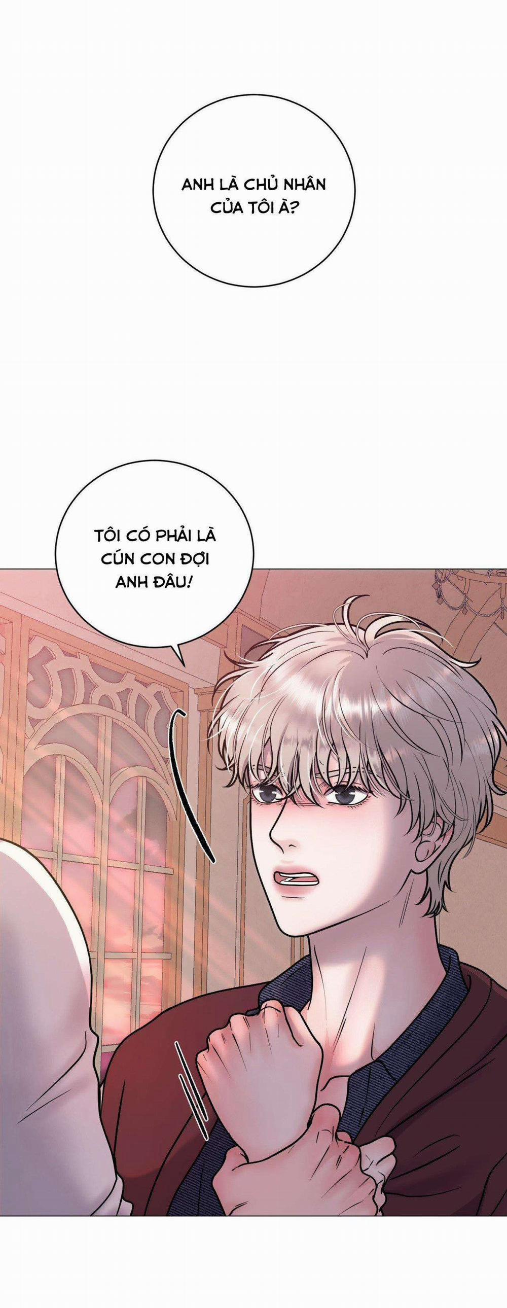 Ảo Tưởng 7 trang 54