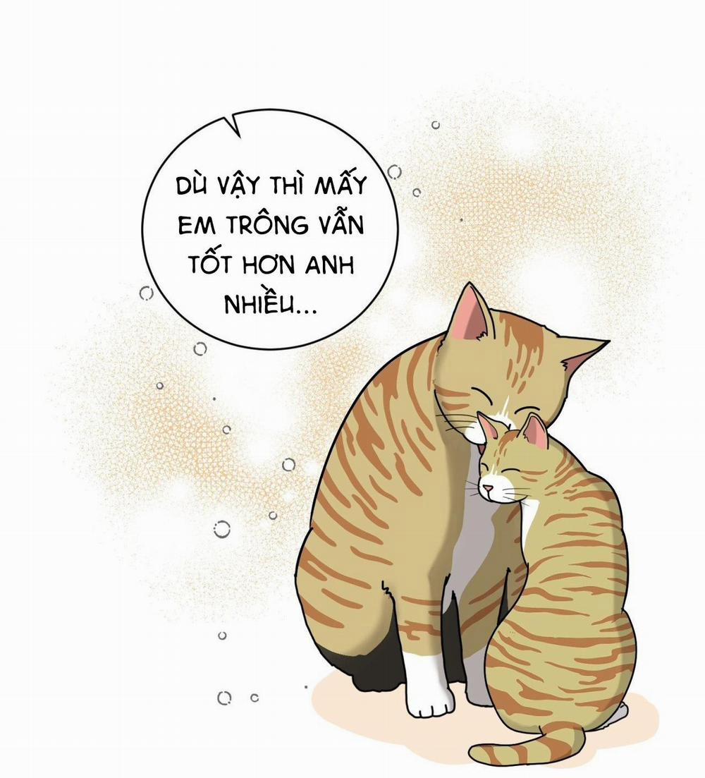 Ảo Tưởng 8 trang 41