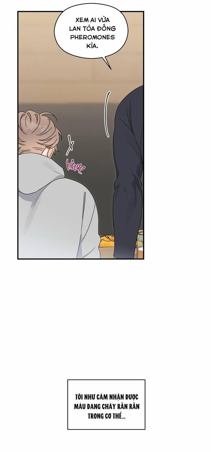 Aphla Trauma 3 trang 31