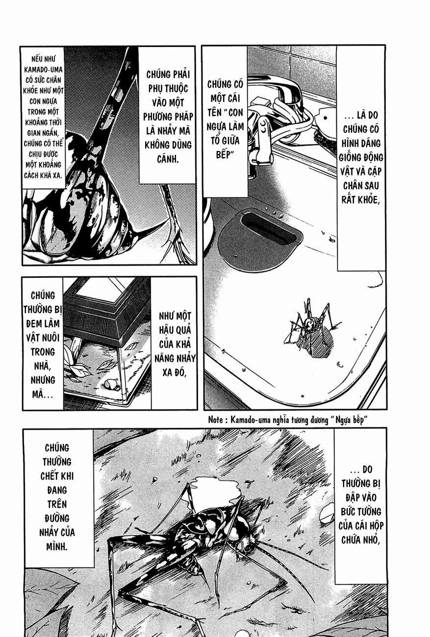 Arachnid 15 trang 23