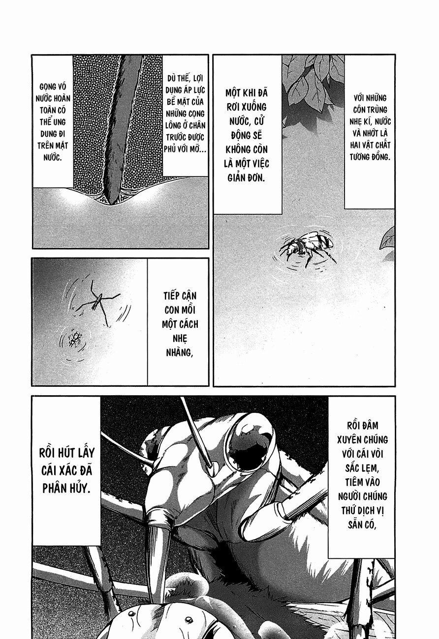 Arachnid 19 trang 32