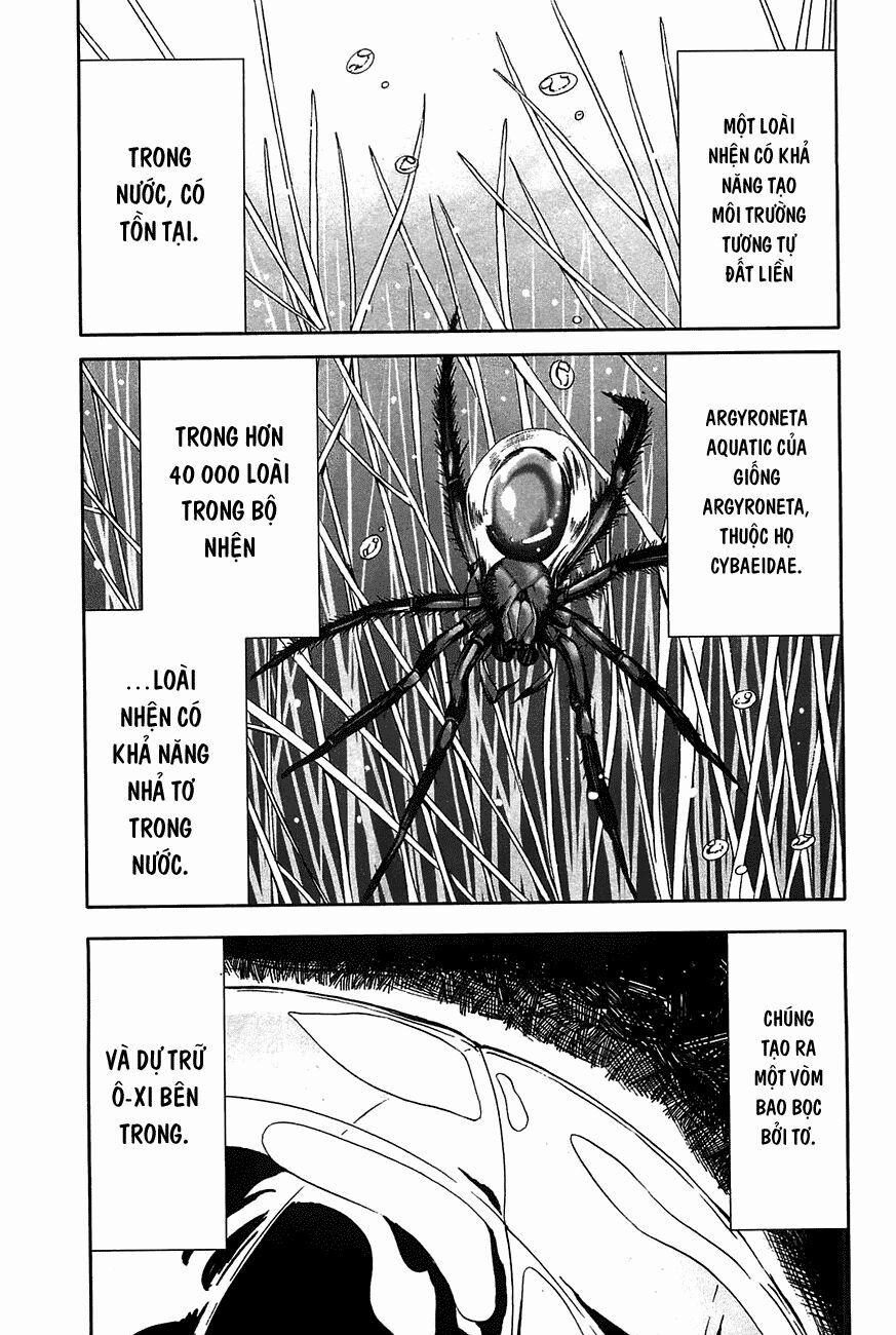 Arachnid 20 trang 12