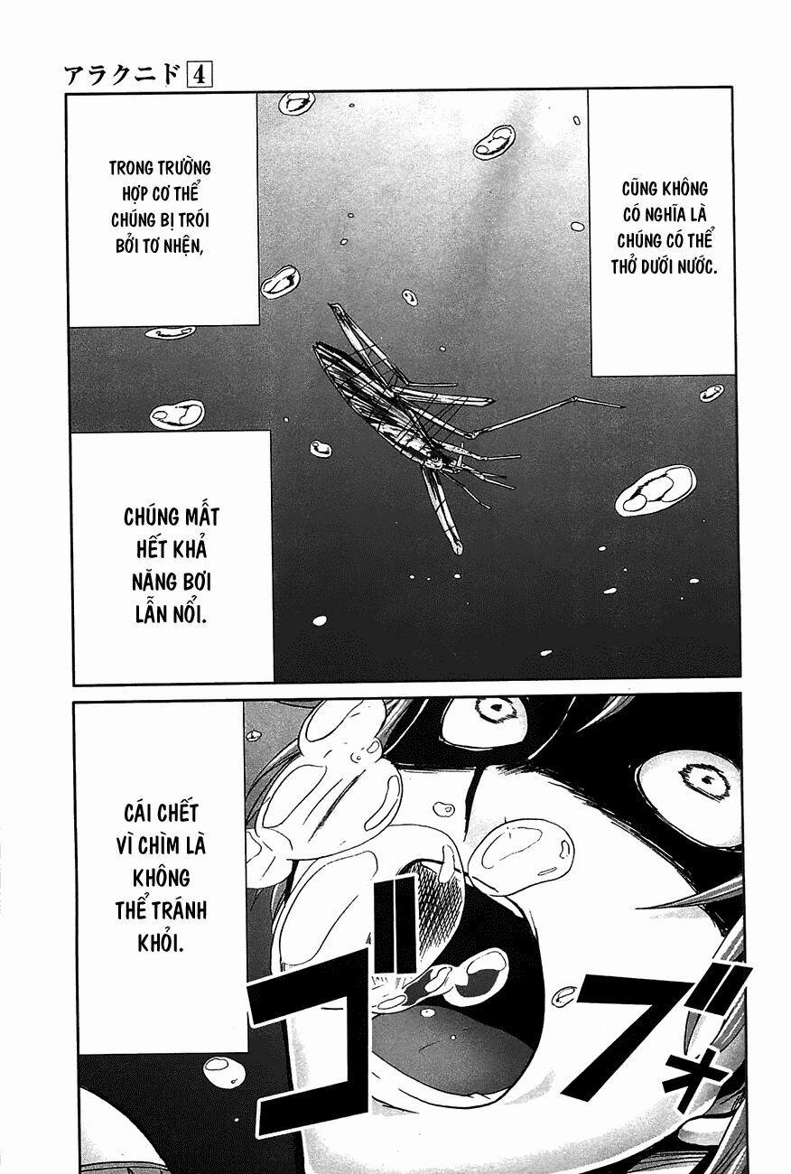 Arachnid 20 trang 17