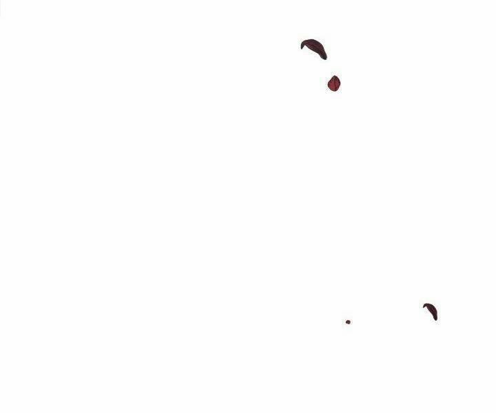 Ashtarte Firenze 44 trang 106