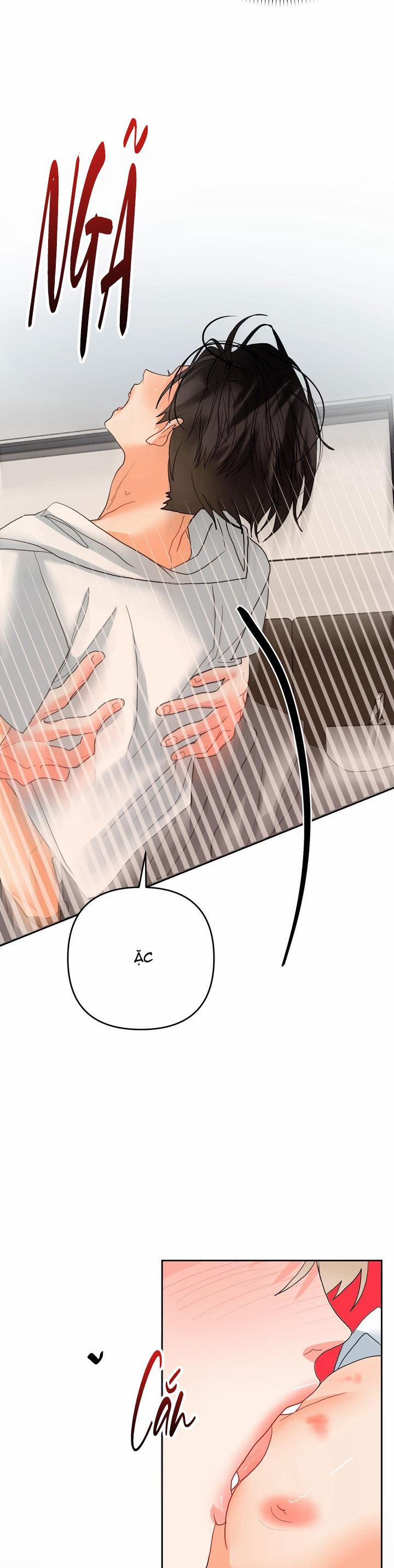 (AxB) OMEGA CỦA ANH TRAI 11 trang 4