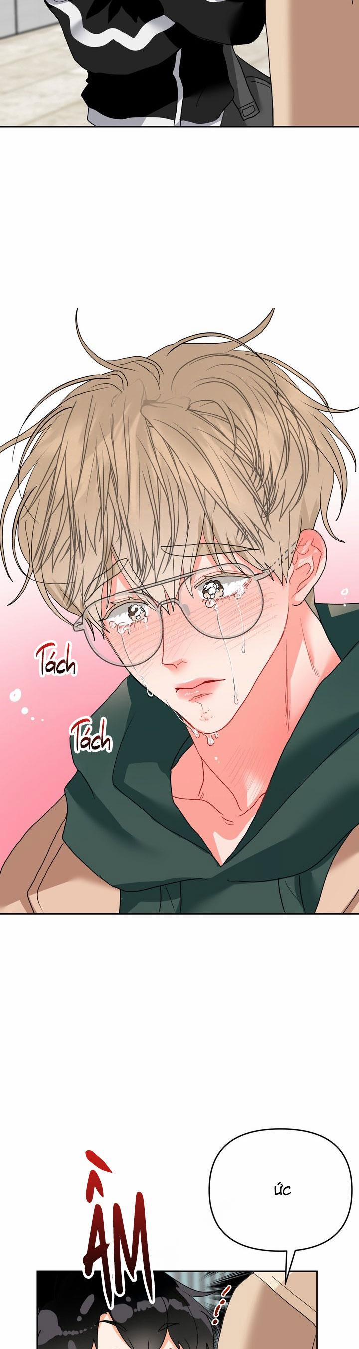 (AxB) OMEGA CỦA ANH TRAI 8 trang 19