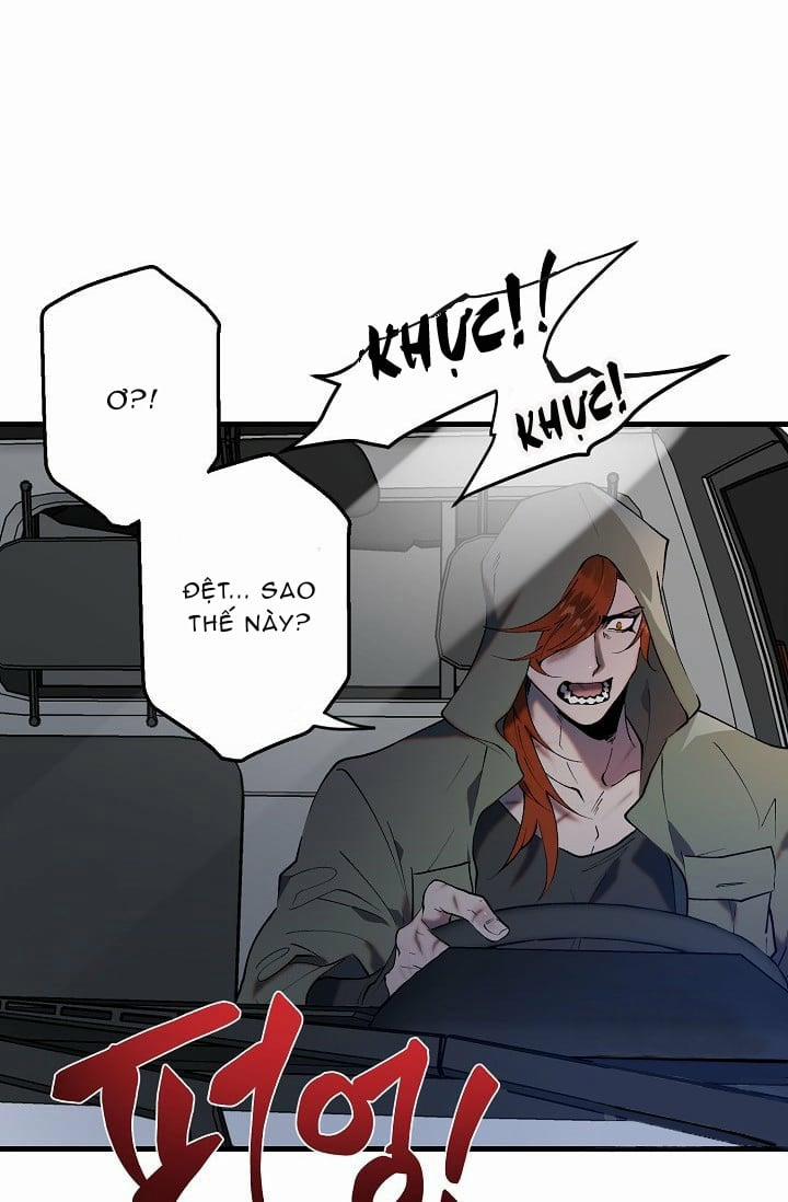 Ba Anh Em Nhà Heo 1 trang 12