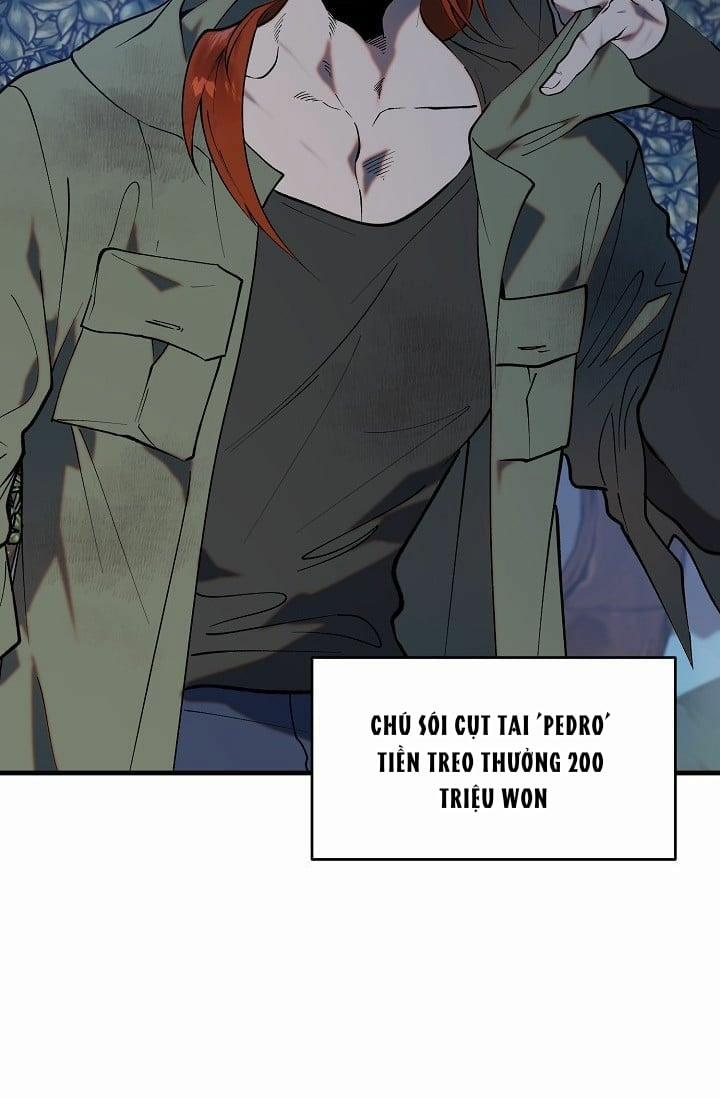 Ba Anh Em Nhà Heo 1 trang 17