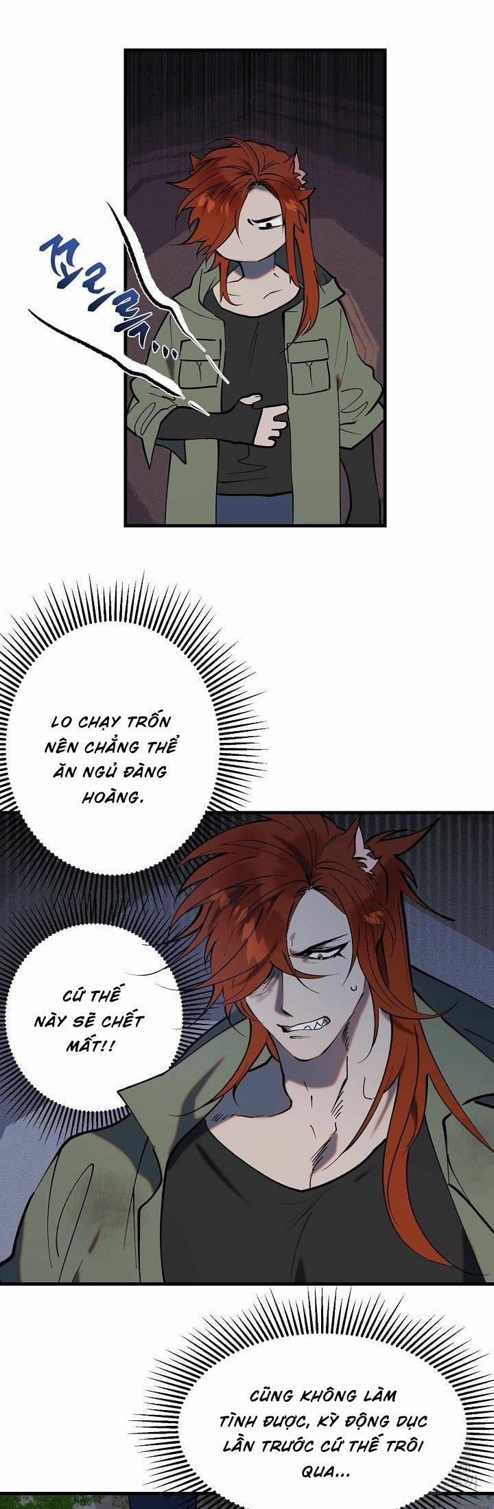 Ba Anh Em Nhà Heo 1 trang 18