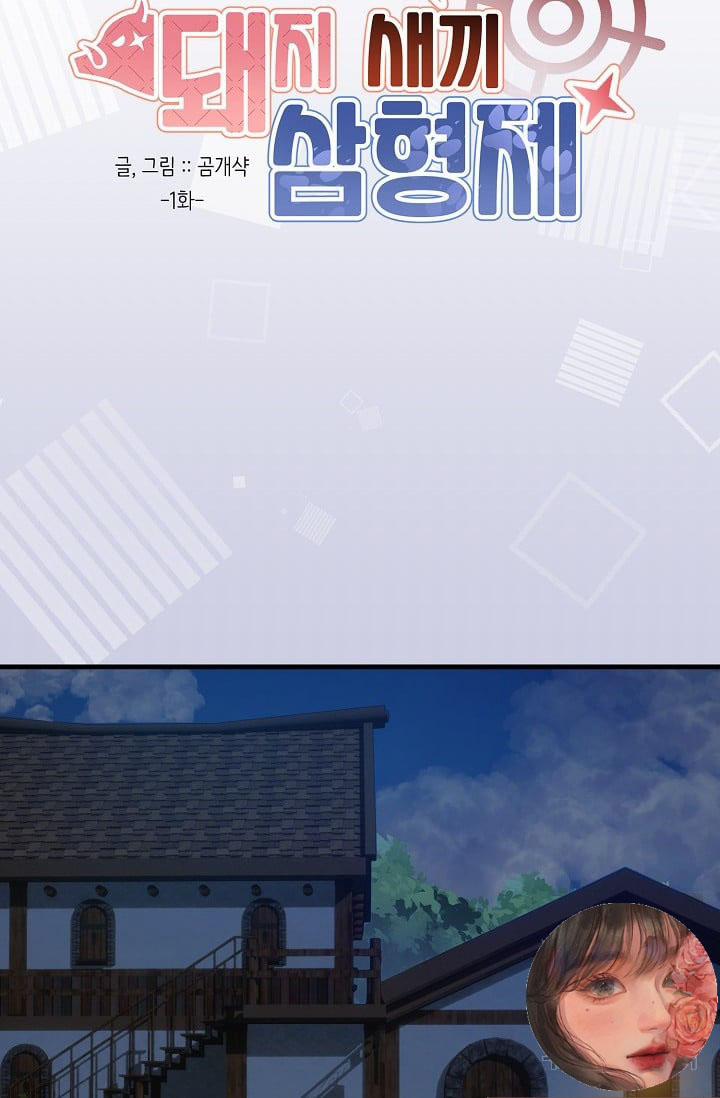 Ba Anh Em Nhà Heo 1 trang 24