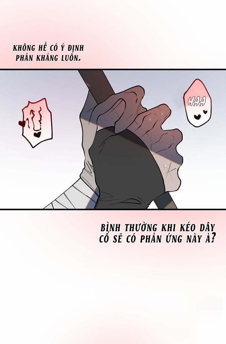 Ba Anh Em Nhà Heo 3 trang 47