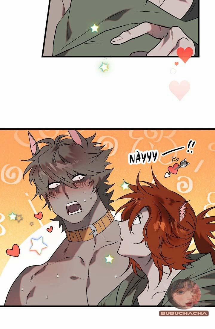 Ba Anh Em Nhà Heo 5 trang 14