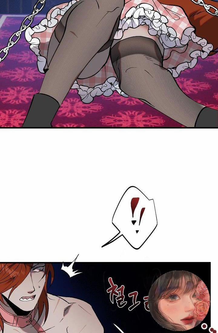 Ba Anh Em Nhà Heo 7 trang 15