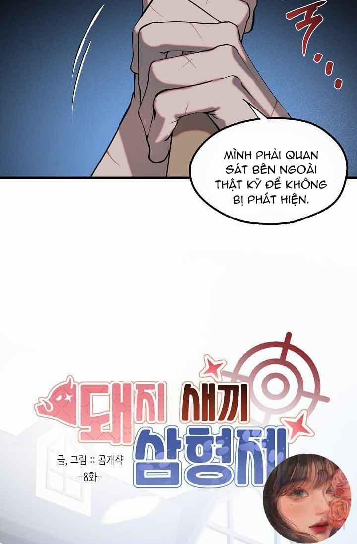 Ba Anh Em Nhà Heo 8 trang 17