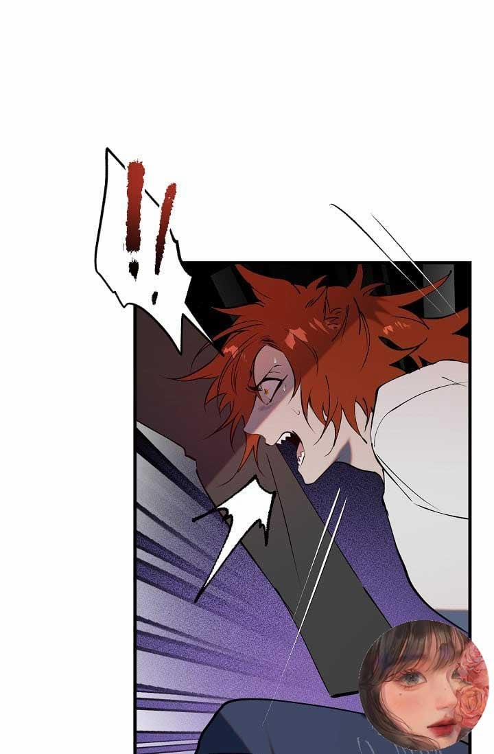 Ba Anh Em Nhà Heo 8 trang 42