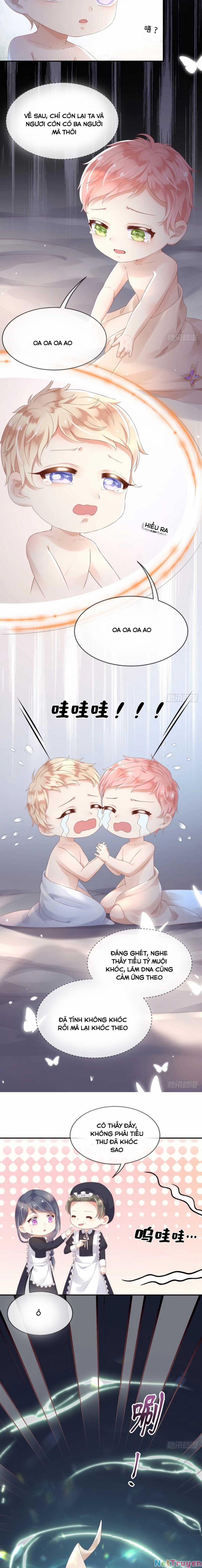 Ba Ba Đại Nhân ! Con Không Phải Là Nữ Phụ Ác Độc ! 4 trang 5