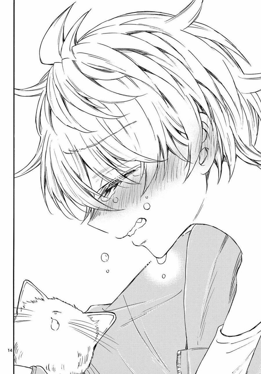 Ba Chị Em Nhà Mikadono Dễ Đối Phó Thật Đấy 41 trang 13