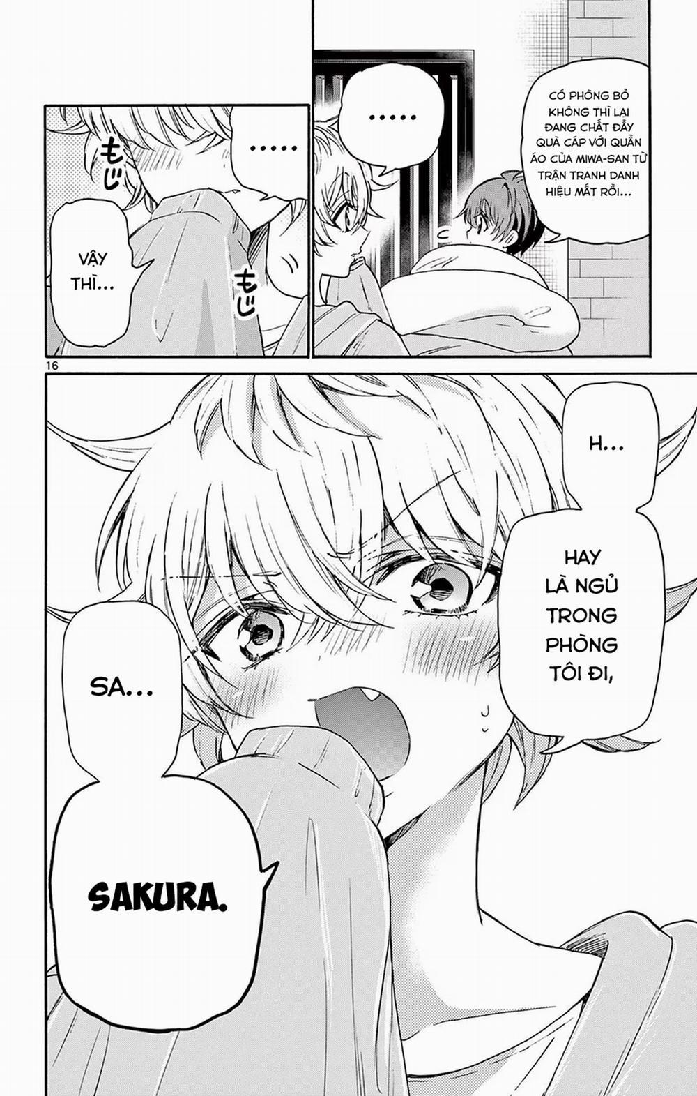 Ba Chị Em Nhà Mikadono Dễ Đối Phó Thật Đấy 49 trang 17