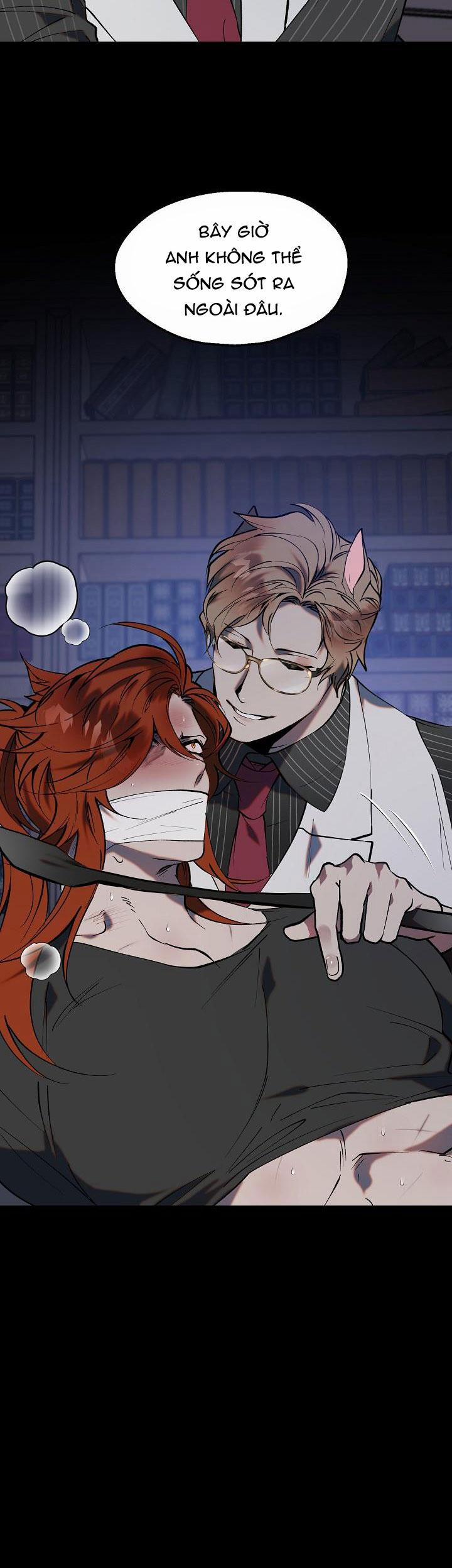 BA CHÚ HEO CON 0 trang 8