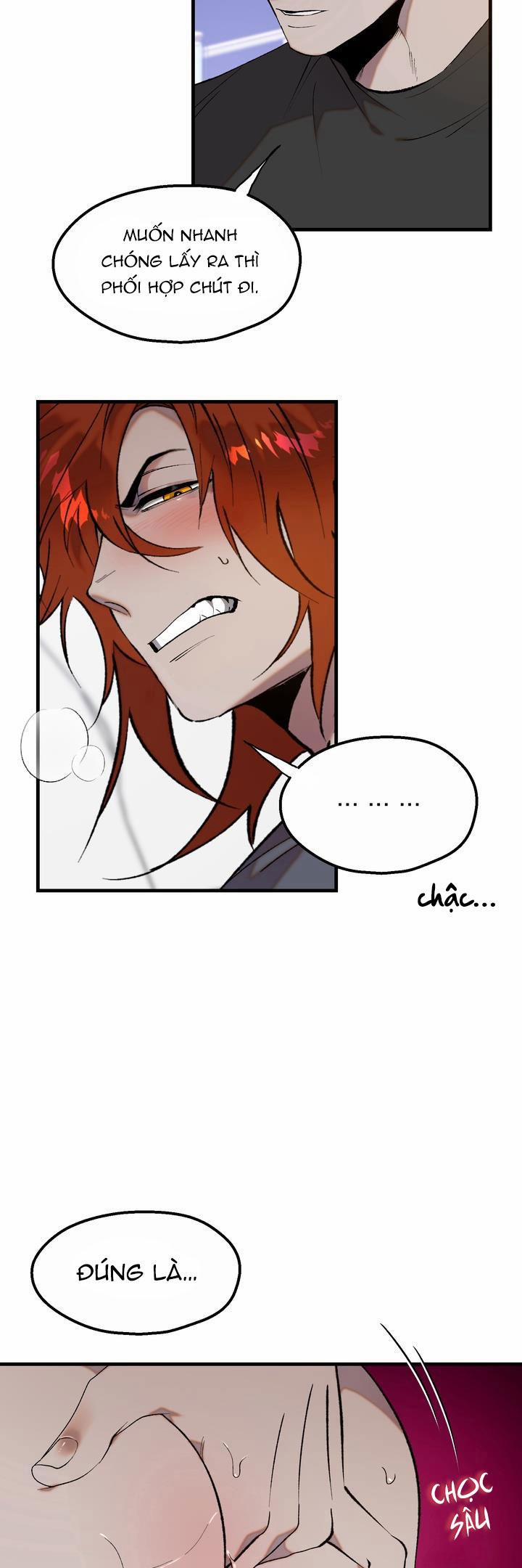 BA CHÚ HEO CON 11 0 trang 1