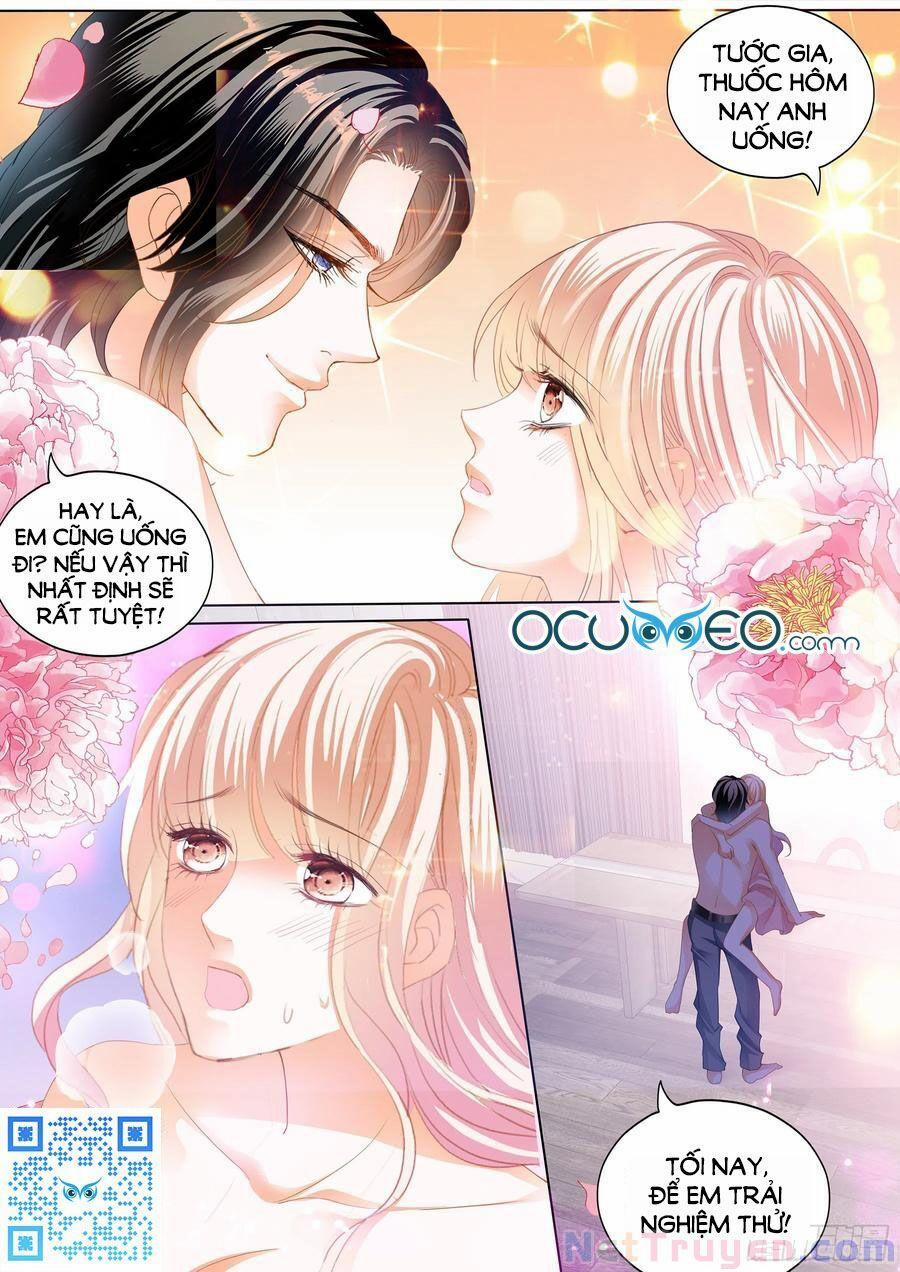 Bá Đạo Tiểu Thúc, Xin Trêu Chọc Vừa Thôi! 209 trang 11