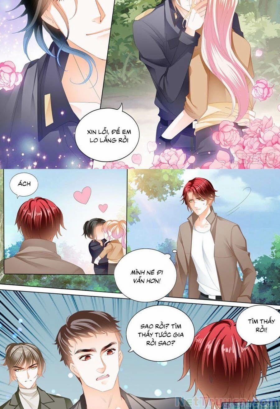 Bá Đạo Tiểu Thúc, Xin Trêu Chọc Vừa Thôi! 219 trang 1