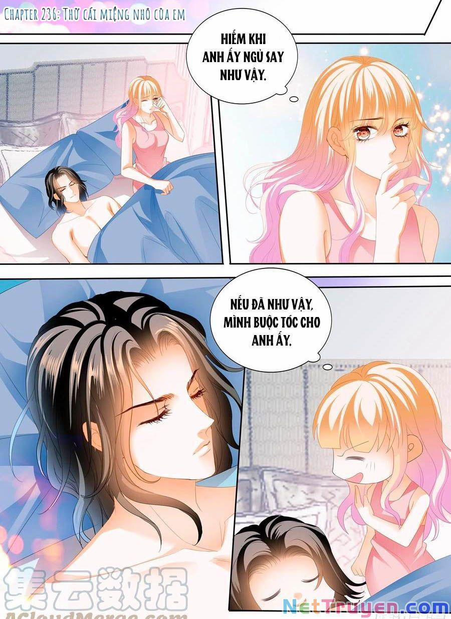 Bá Đạo Tiểu Thúc, Xin Trêu Chọc Vừa Thôi! 236 trang 0