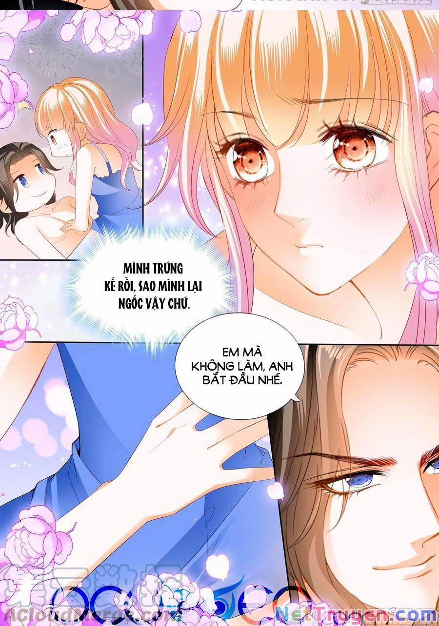 Bá Đạo Tiểu Thúc, Xin Trêu Chọc Vừa Thôi! 243 trang 11