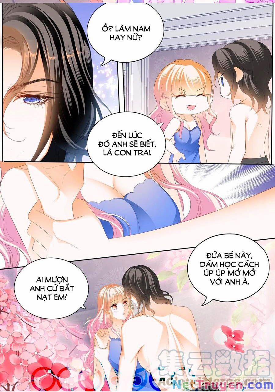 Bá Đạo Tiểu Thúc, Xin Trêu Chọc Vừa Thôi! 243 trang 4