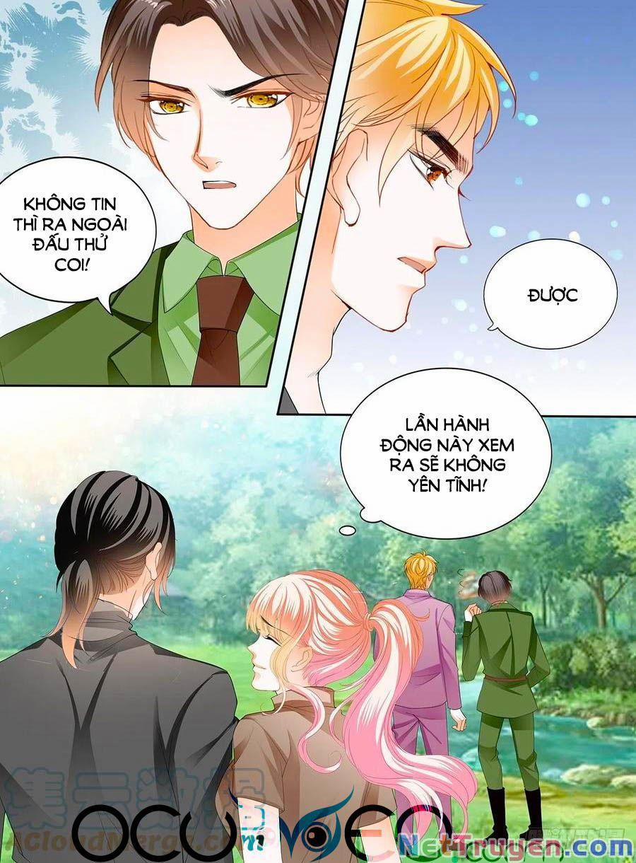 Bá Đạo Tiểu Thúc, Xin Trêu Chọc Vừa Thôi! 244 trang 11