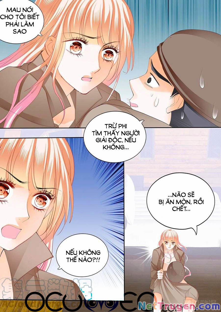 Bá Đạo Tiểu Thúc, Xin Trêu Chọc Vừa Thôi! 249 trang 2