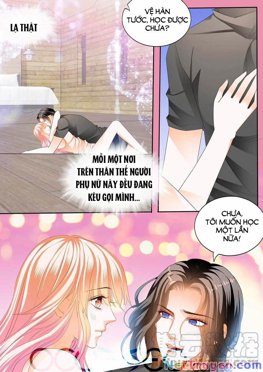 Bá Đạo Tiểu Thúc, Xin Trêu Chọc Vừa Thôi! 253 trang 5