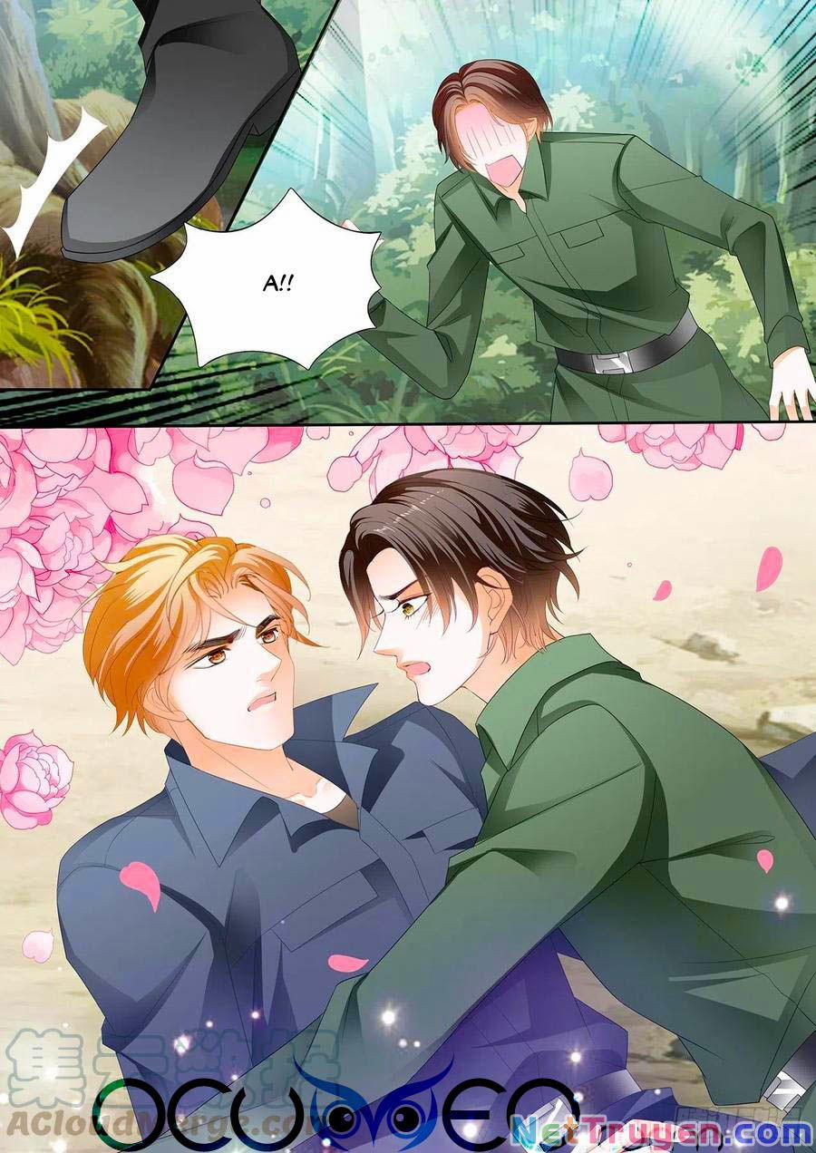 Bá Đạo Tiểu Thúc, Xin Trêu Chọc Vừa Thôi! 254 trang 6