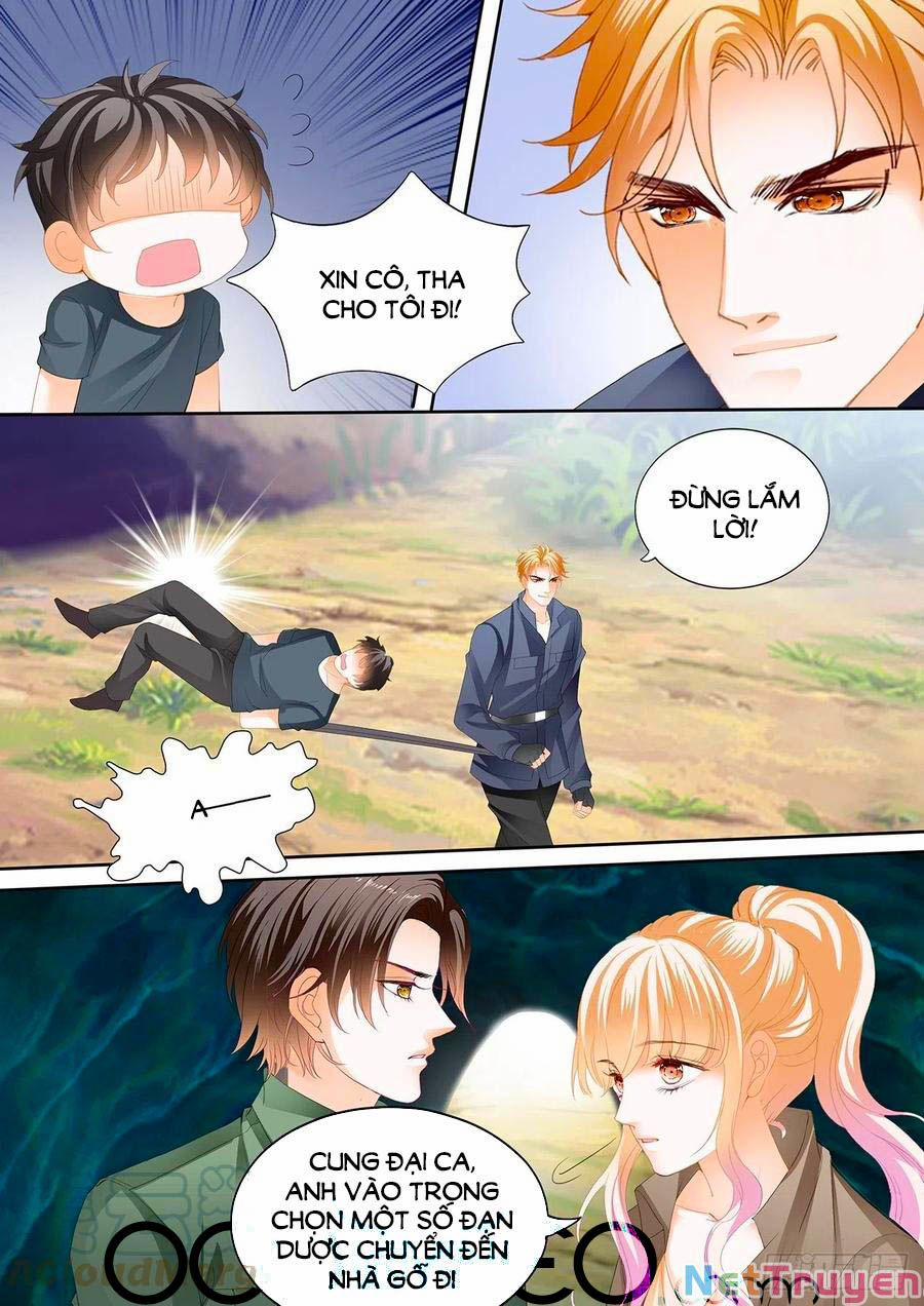 Bá Đạo Tiểu Thúc, Xin Trêu Chọc Vừa Thôi! 260 trang 3