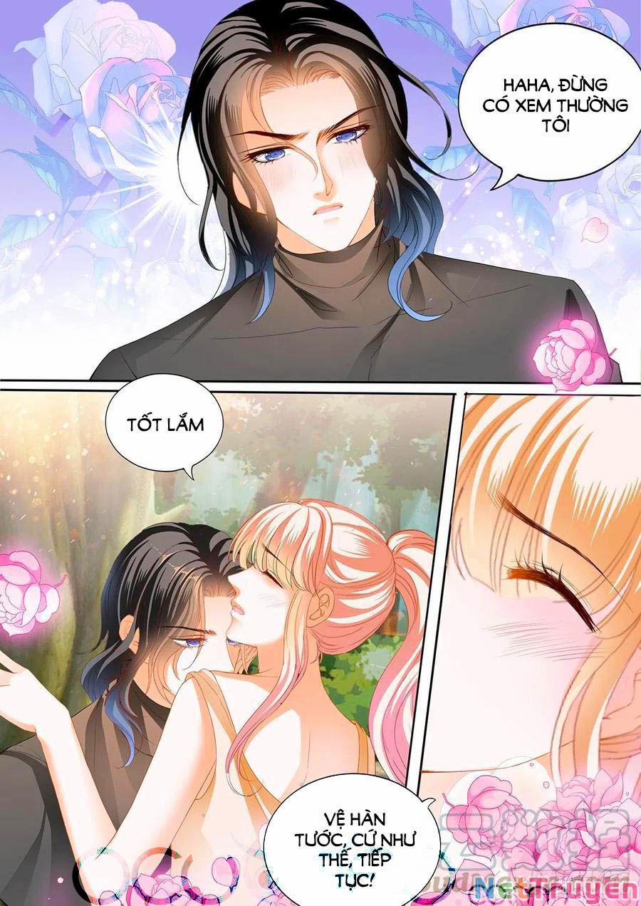 Bá Đạo Tiểu Thúc, Xin Trêu Chọc Vừa Thôi! 262 trang 5