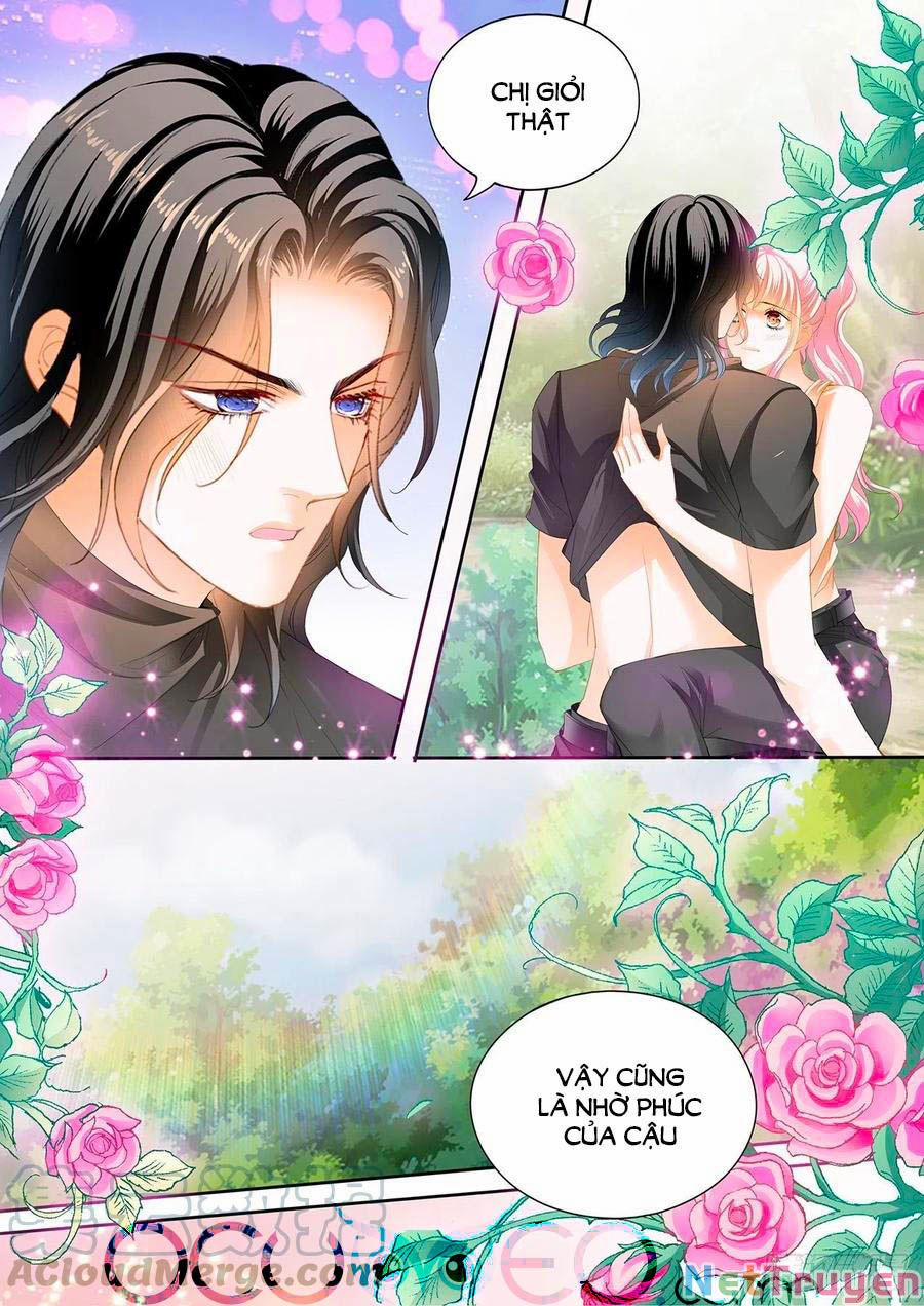 Bá Đạo Tiểu Thúc, Xin Trêu Chọc Vừa Thôi! 262 trang 6