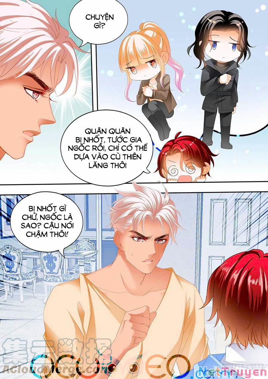 Bá Đạo Tiểu Thúc, Xin Trêu Chọc Vừa Thôi! 264 trang 2