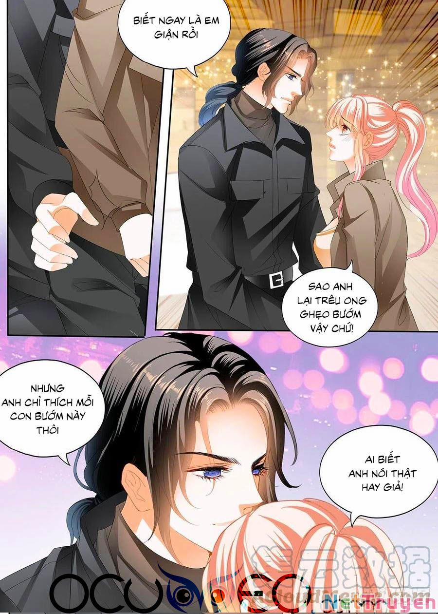 Bá Đạo Tiểu Thúc, Xin Trêu Chọc Vừa Thôi! 277 trang 3